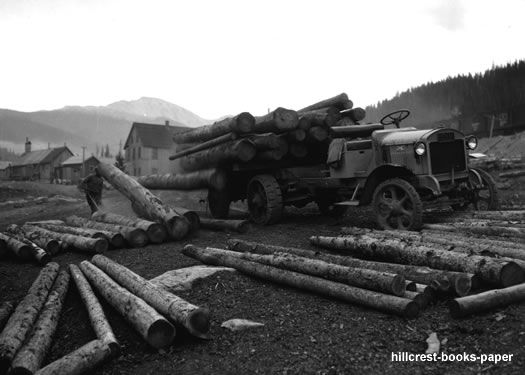 Unloading Logs at Sawmill Arapaho Forest Colorado photo  