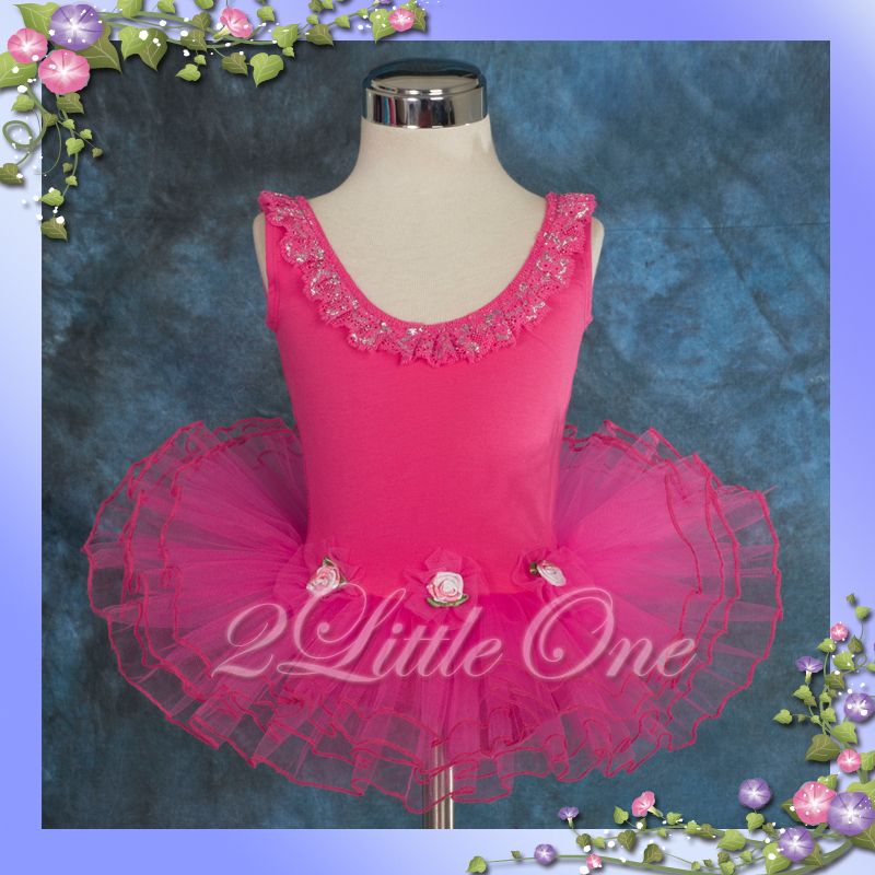 Girl Ballet Tutu Dance Costume Leotard Dress Size 2T 6  