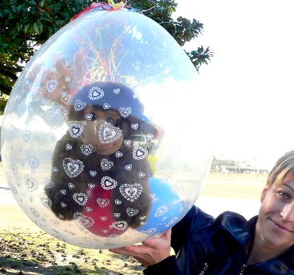 PLUSH MONKEY ANIMAL IN A STUFFED BALLOON WRAP BUBBLE  