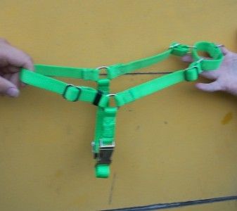 Carter Pet Walk (Walking) Dog Harness Training USA Made Metal Hardware 