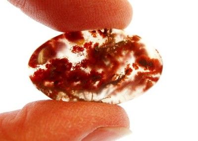 Maury Mt. Moss Agate Cabochon Designer Cut HS WoW  