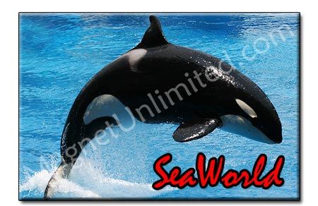 SeaWorld Orlando Shamu Show Florida Souvenir Magnet #2  