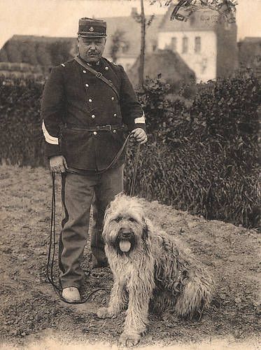 Bouvier Des Flandres Dog And Soldier Print  