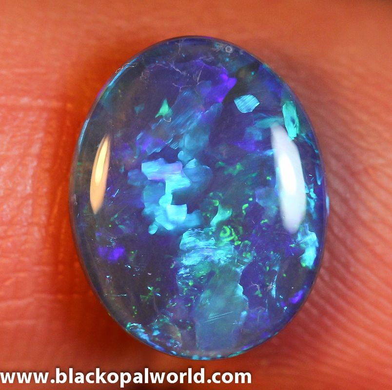 NATURAL SOLID BLUE GREEN BLACK OPAL GEM 2.90ct GEMSTONE (MICKS 