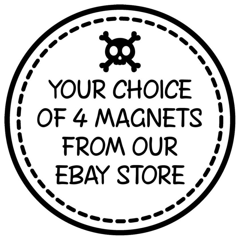 YOUR CHOICE of 4 FRIDGE MAGNETS from our  store  