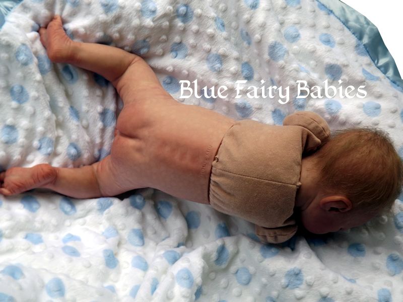 Reborn Baby Boy Jesse by Adrie Stoete Anatomically Correct Torso ~BFB 