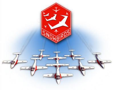 Canadian Snowbirds PIN CT114 Tutor 431 SQUADRON WOW  