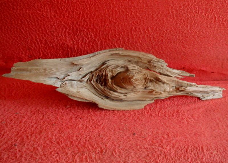 10 x 26 ANCIENT CYPRESS KNOT DRIFTWOOD #2554  