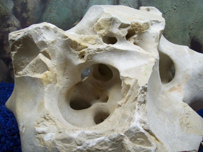 NATURAL TEXAS HOLEY LIMESTONE CICHLID AQUARIUM ROCK #56  