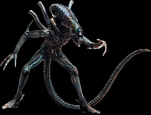 Konami Aliens AVP Sci  Fi Movie II Figure Alien Warrior  
